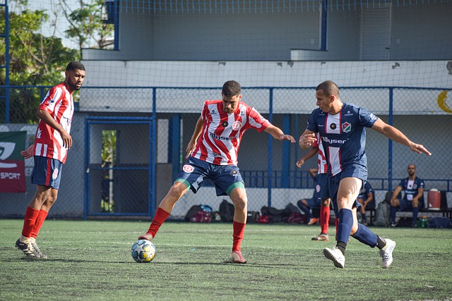 P的双重荣 P的双重荣