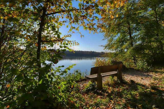 球健康成长 球健康成长